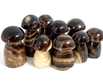 Chocolate Calcite Mushrooms