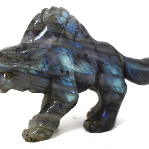 Labradorit Wolfsschnitzerei - Hals, Drittes Auge, Kronenchakras