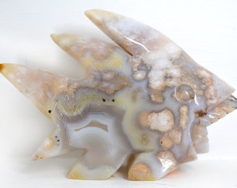 Flower Agate Piranha/Shark