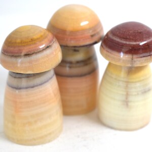 May include: Three decorative mushroom figurines. The mushroom caps are a mix of colors, including tan, brown, and burgundy. The stems are a light tan color. The figurines are made of a polished stone material.