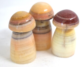 Peach Onyx Mushrooms