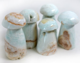 Caribbean Calcite Mushrooms
