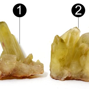 Puede incluir: Dos grupos de formaciones de cristales de color amarillo pálido. Los cristales tienen un aspecto translúcido con puntas y una superficie rugosa y texturizada. Los grupos se colocan sobre un fondo blanco, lo que resalta su color y estructura naturales.