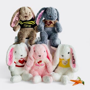 May include: Five plush bunny rabbits with embroidered names on their ears and sweaters. The bunnies are sitting on a white surface. The bunnies are brown, gray, white, pink, and white with yellow accents. The bunnies are wearing sweaters with embroidered hearts and names. The names on the bunnies are Marcus, Mia, Sophia, Alissa, and Coca.