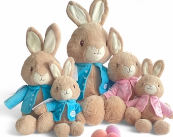 Easter Bunny Peter Rabbit Plush Personalized Bunny Bunny Rabbit Blue Coat| Big Brother Gift Newborn Big Brother Little Sister Siblings Gift