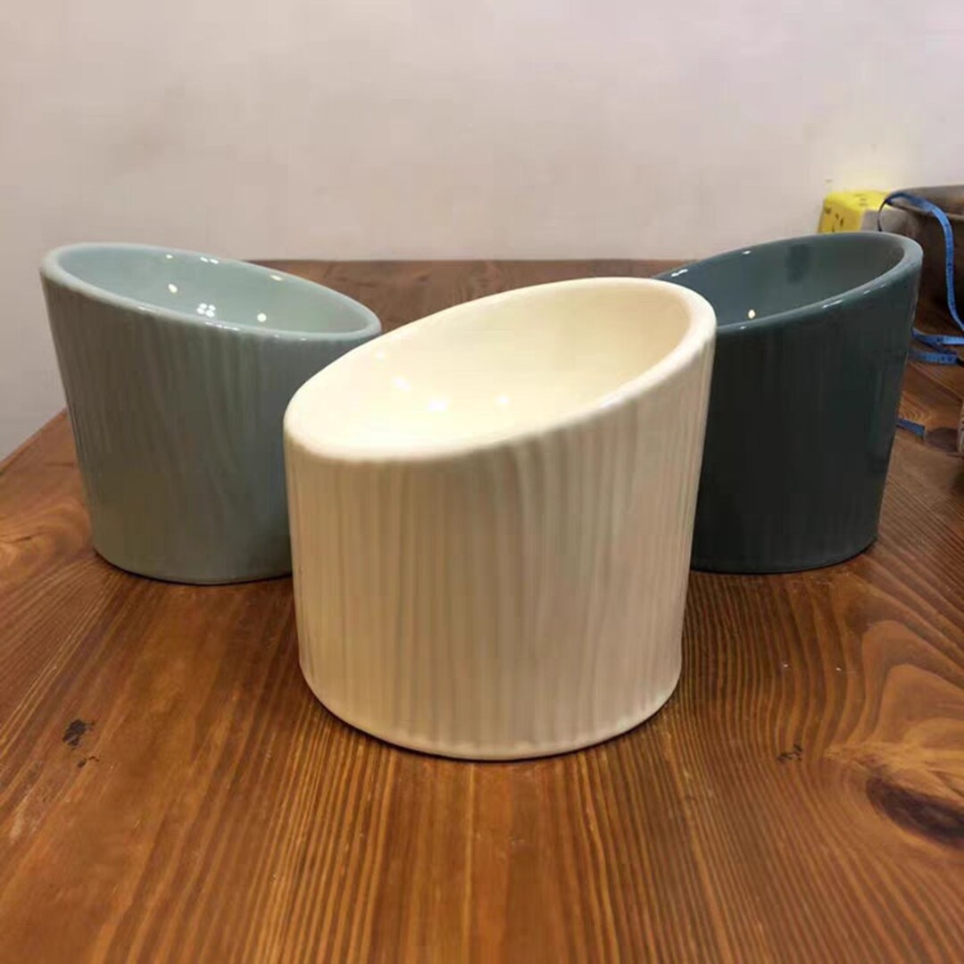 Macaron Bowl: Modern Ceramic Raised Cat Dish