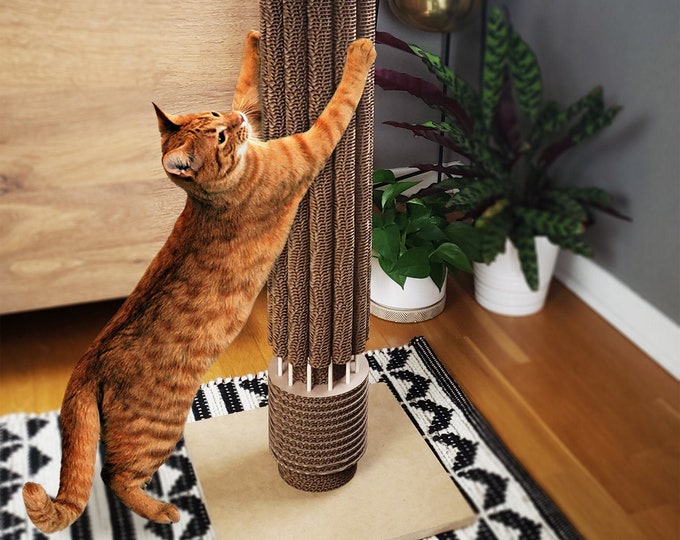Marina City Cat Scratching Post, Chicago Architecture, Skyscraper ...