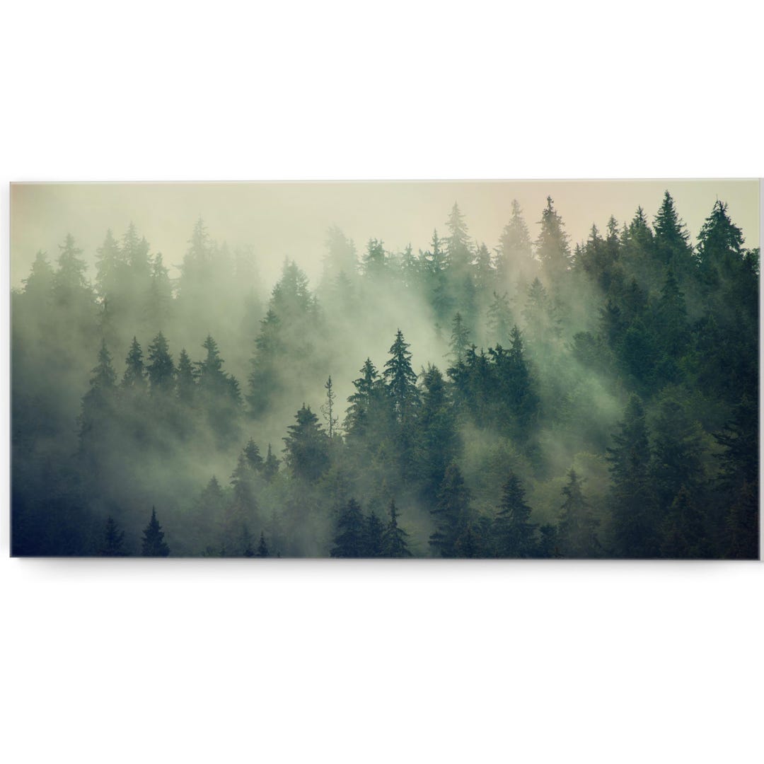 Foggy Pine Forest Canvas Wall Art, Nature Wall Art, Misty Green Forest ...