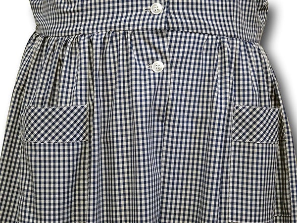 Blue Gingham hand embroidered Garden Collar Gown