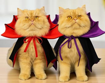 Costume Chauve-souris Pour Chat Et Chien - Feutre Noir Halloween - Ailes Et Chapeau - Taille Ajustable