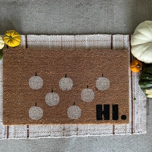 Pumpkin hi rug!