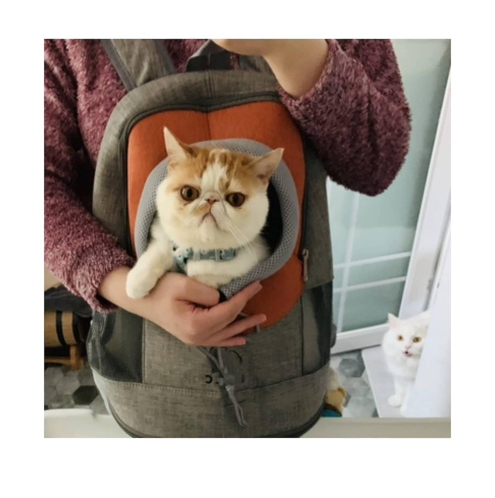 Gray Cat Carrier Bag Pet Travel Shoulder Bag Dog Travel Etsy