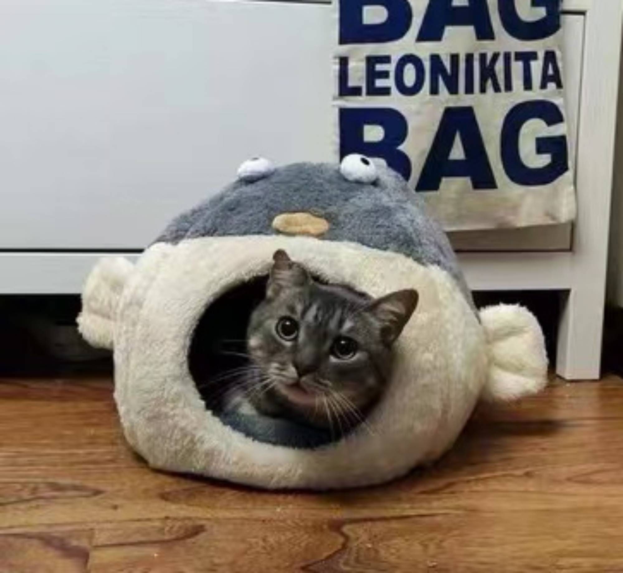 Pufferfish Cat Bed Donut Warm Cat Cave Indoor Sleeping Dog Etsy