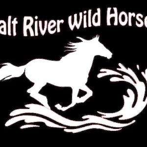 Salt River Wild Horse decal