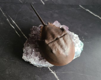 Horseshoe Crab (Limulus polyphemus) 3D Resin - Printed Miniature Figurine - Earl