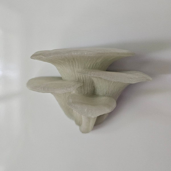 Oyster mushroom fridge magnet