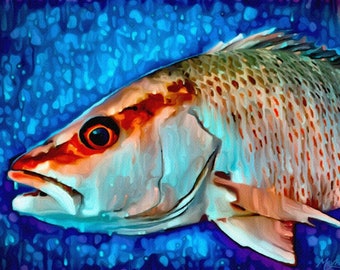 May include: A close-up of a red snapper fish with a blue and purple background. The fish has a red and orange body with a white belly and a large eye. The background is a swirling pattern of blue and purple.