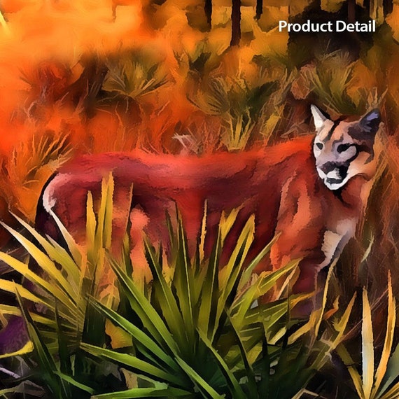 FLORIDA EVERGLADES Park Florida Panther Animal Wall Art Print