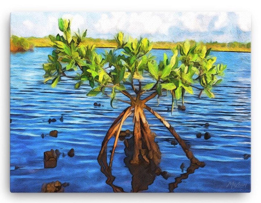 FLORIDA EVERGLADES National Park Ocean Mangrove Wall Art Print