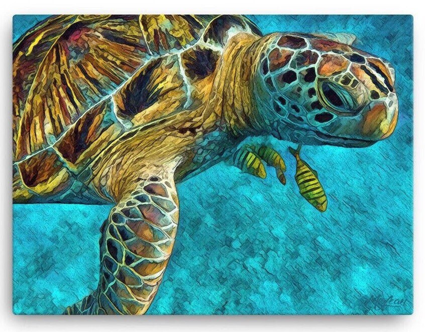 SEA TURTLE Ocean Animal Wall Art Print Wildlife Animal Gifts Etsy