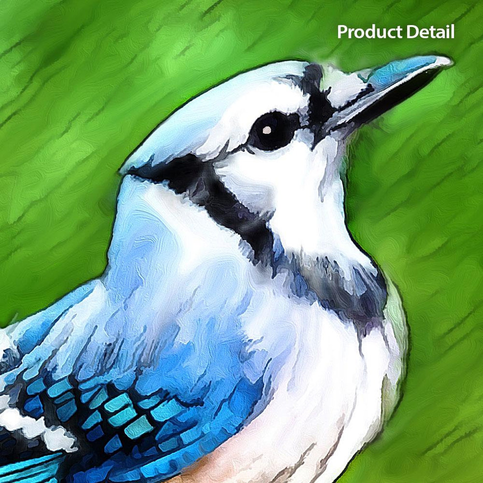 BLUE JAY Bird Wall Art Print Birding Gift For Men Women Etsy