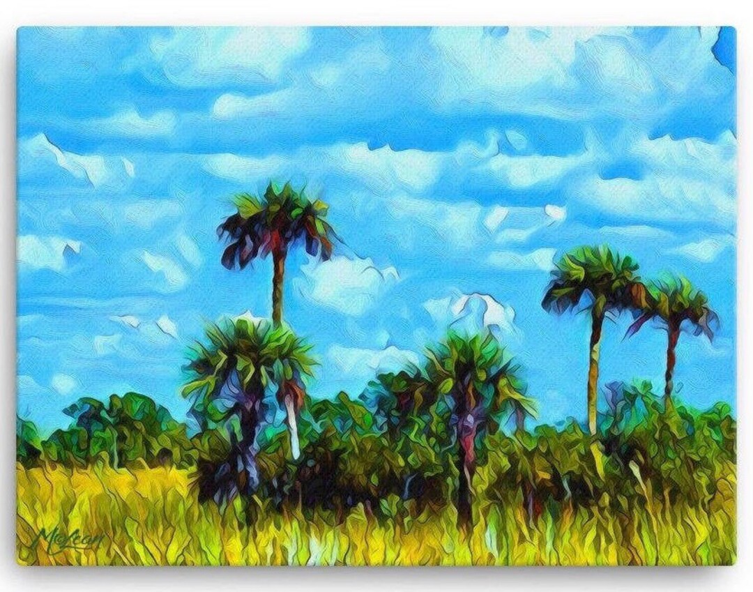 FLORIDA EVERGLADES National Park Palm Tree Wall Art Print - Landscape ...