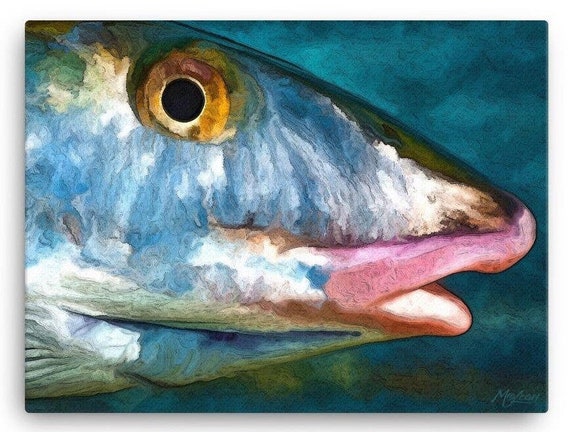 BONEFISH Ocean Fish Wall Art Print Fishing Wildlife Gifts | Etsy