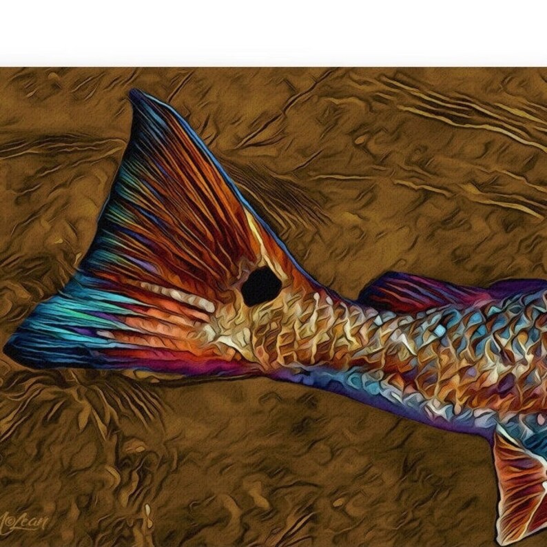 REDFISH red Drum Ocean Fish Wall Art Print Fishing Etsy