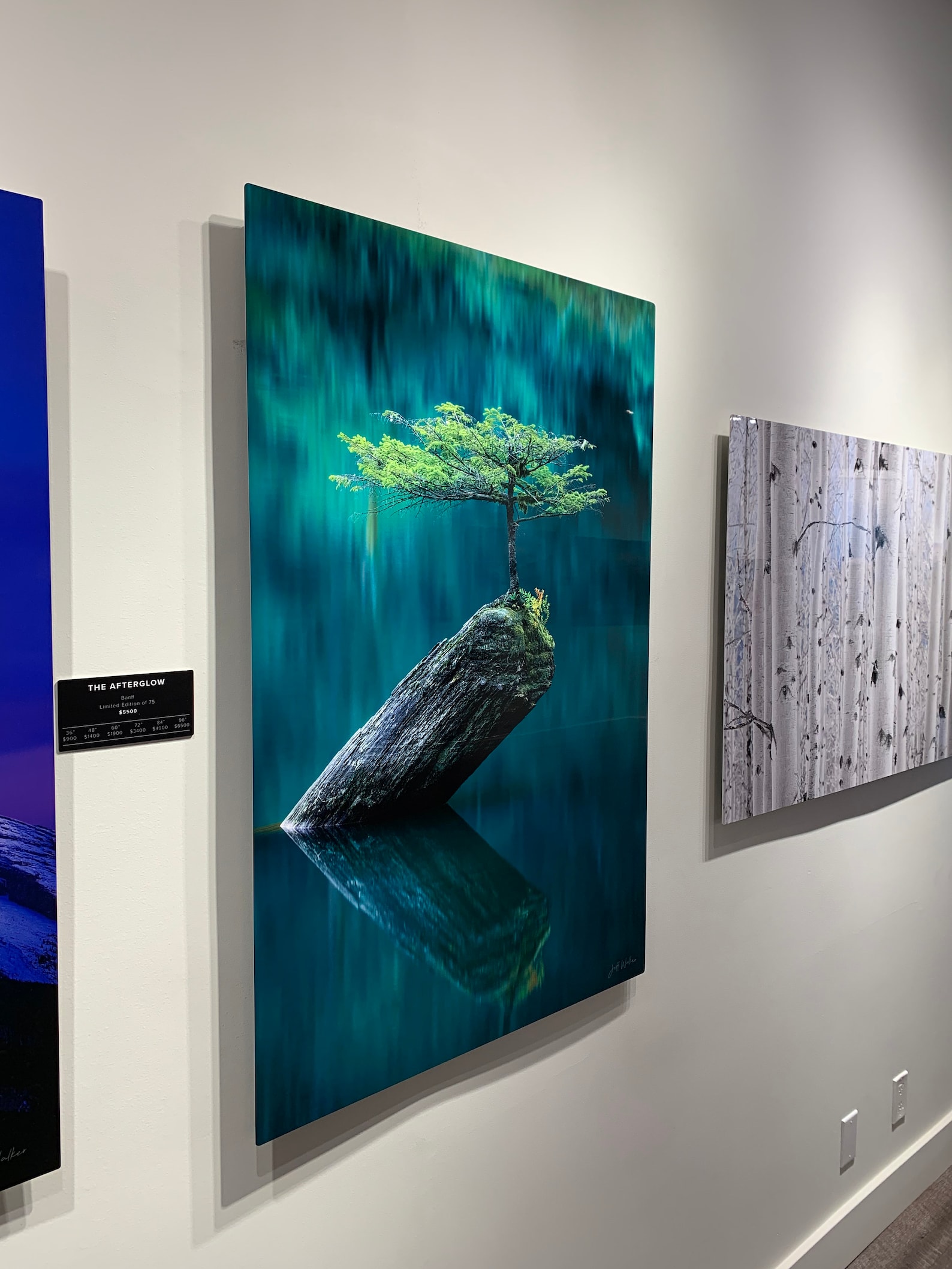 Survivor Jeff Walker Luxury Fine Art Limited Edition Aluminum