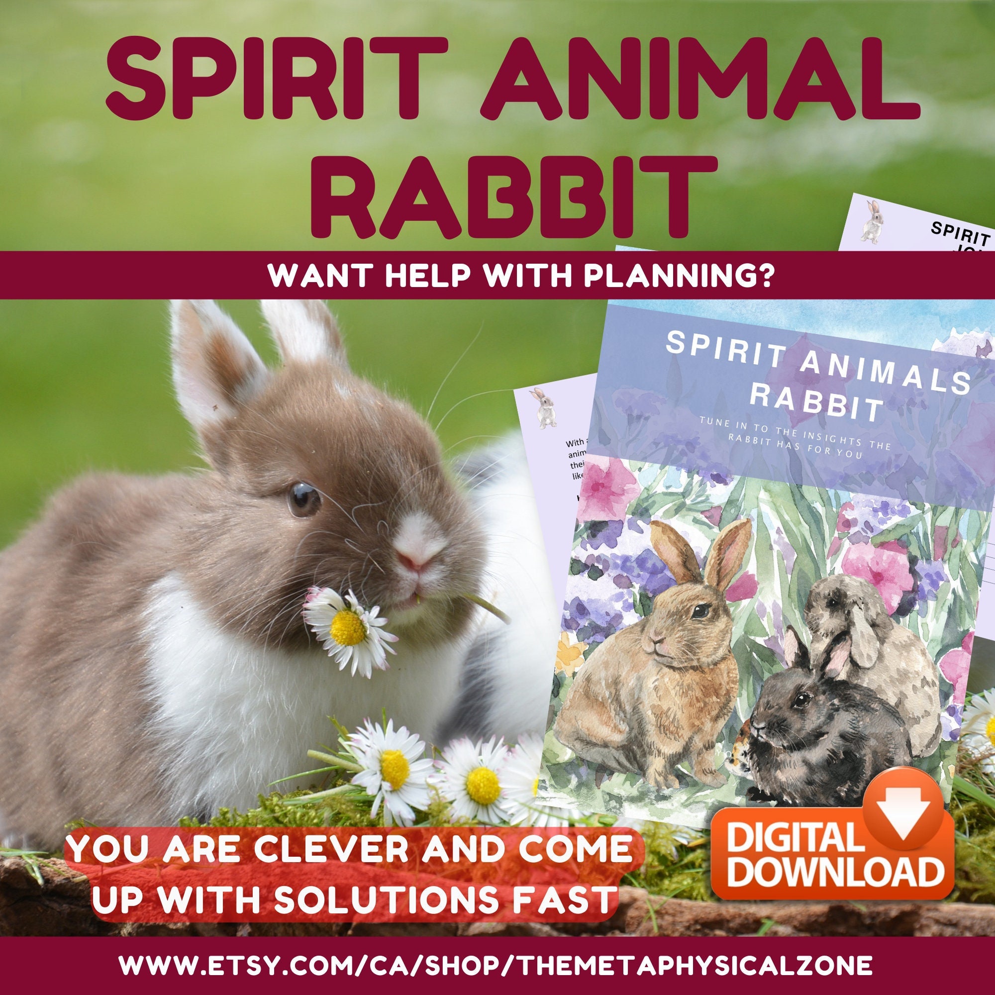 Spirit Animal Rabbit Journal Guidebook Messages Spiritual - Etsy Spirit Animal Rabbit Journal Guidebook Messages Spiritual - Etsy