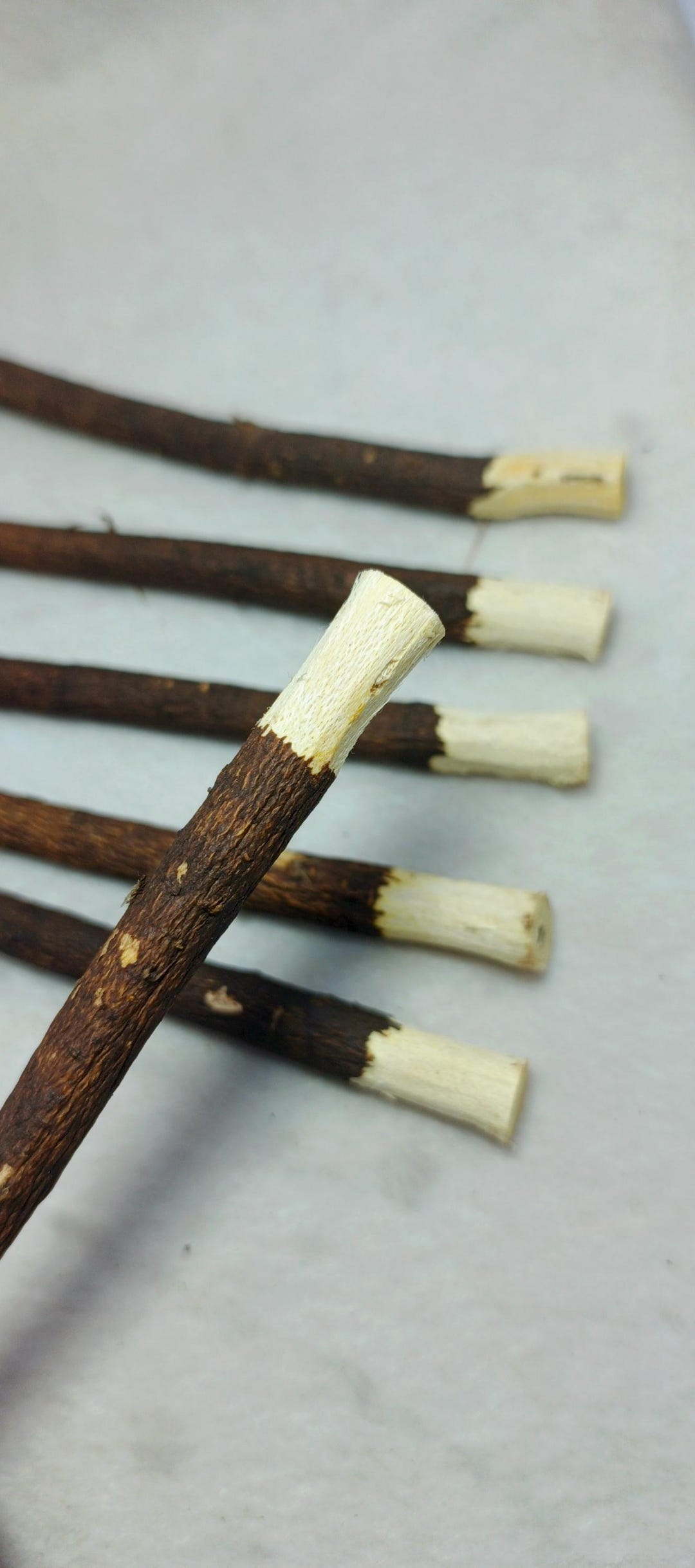 Muslim Toothbrush Buy 1 Get 1 Free Olive Miswak Toothbrush Sticks – Natural Healthy ...