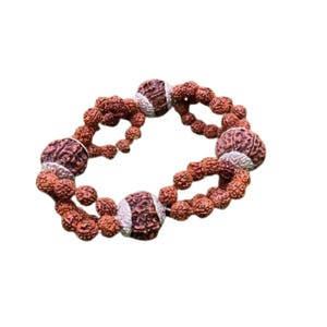 7 mukhi Rudraksha Wealth Bracelet