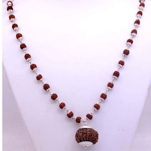 12 mukhi Nepal rudraksha with Silver rudraksha mala