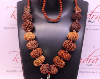 奇跡　ルドラクシャマーラー　トップ14ムキ ルドラクシャマーラー トップ0ムキ ベース0ムキ、5ムキ 奇跡