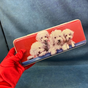 May include: A red rectangular tin with a white border and a picture of four white fluffy dogs on a red background. The tin is being held by a hand wearing a red glove.