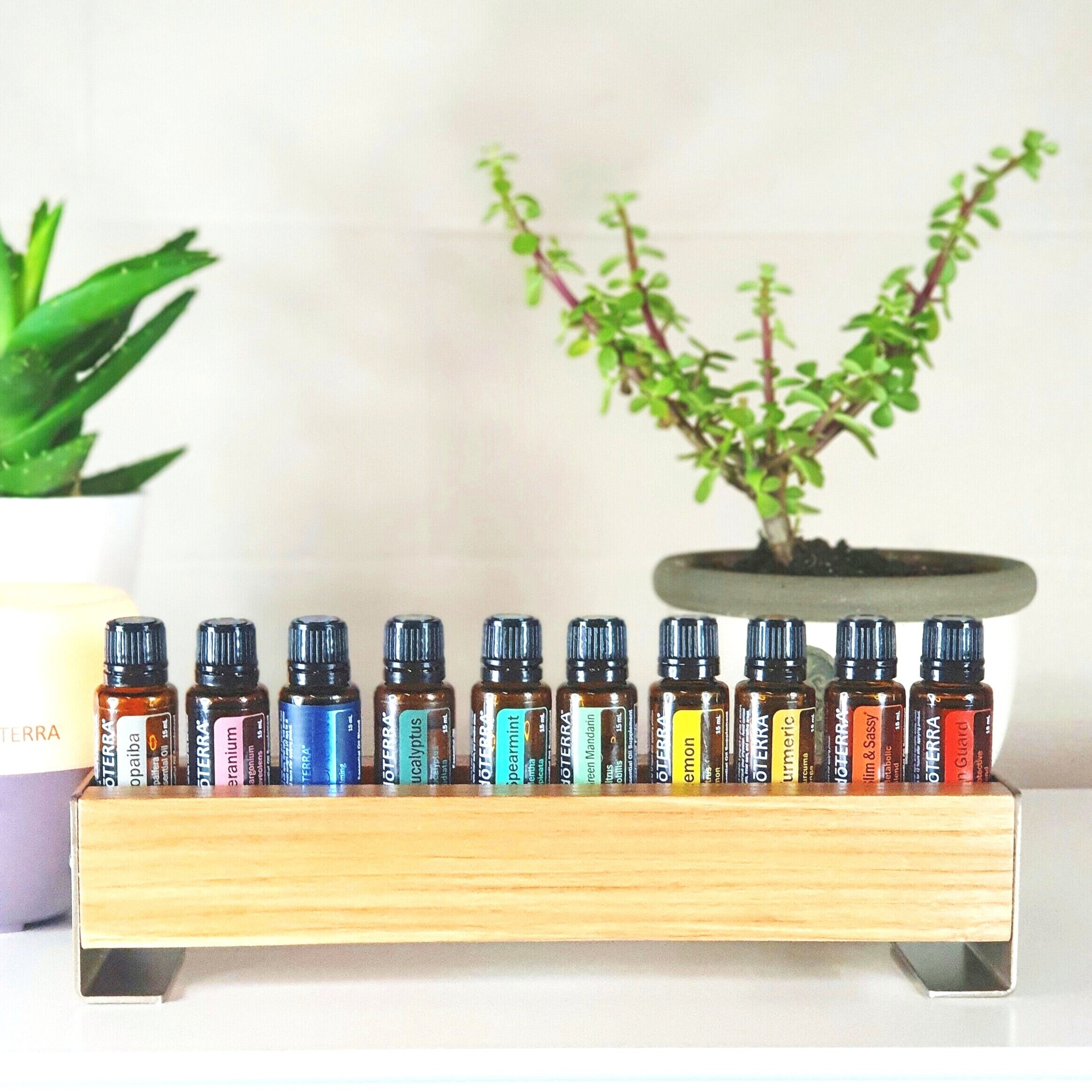 12 Wooden Essential Oil Holder Etsy