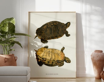 Lámina artística vintage de tortuga marina: decoración de casa de playa costera (descarga digital)