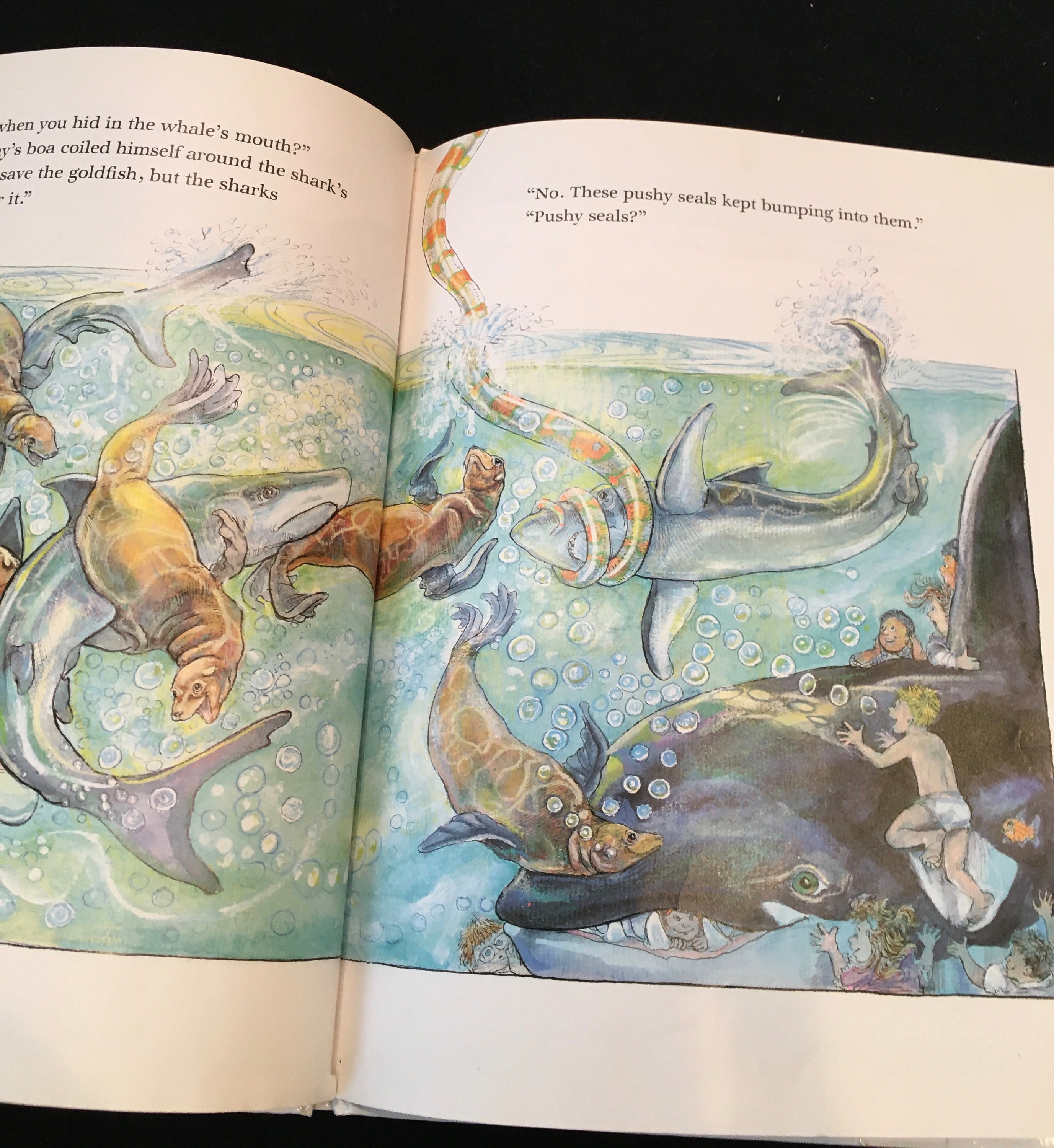 Jimmys Boa and the Big Splash Birthday Bash by Trinka Hakes Etsy