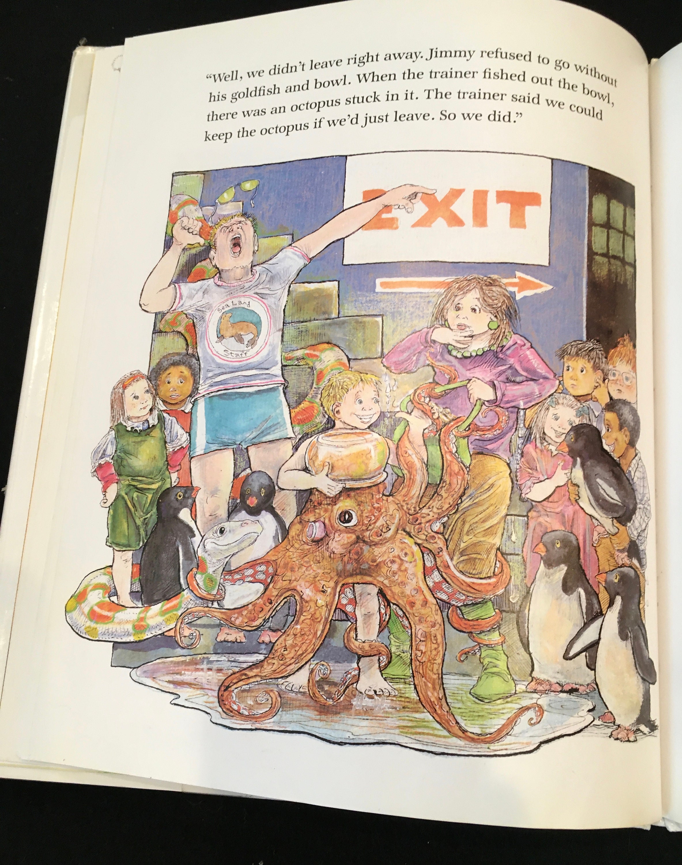 Jimmys Boa and the Big Splash Birthday Bash by Trinka Hakes Etsy