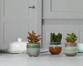 Succulent Ceramic Small Trio Plant Pots Cactus Flower Pot 7 Cm Container With Drainage Hole Hand Craft Colourful Set Of 3 Unique Design NEW