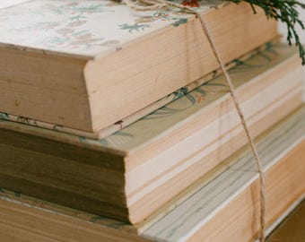 Curated Vintage Book Stack | Set of 3 | Neutral Winter & Everyday Home Decor