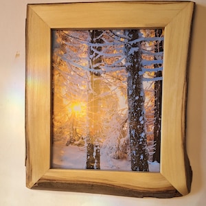 May include: A rectangular picture frame crafted from light-colored wood with a natural live edge on the outer sides. The frame contains a photograph of a snowy forest scene featuring tall trees covered in snow with a bright sunburst effect.