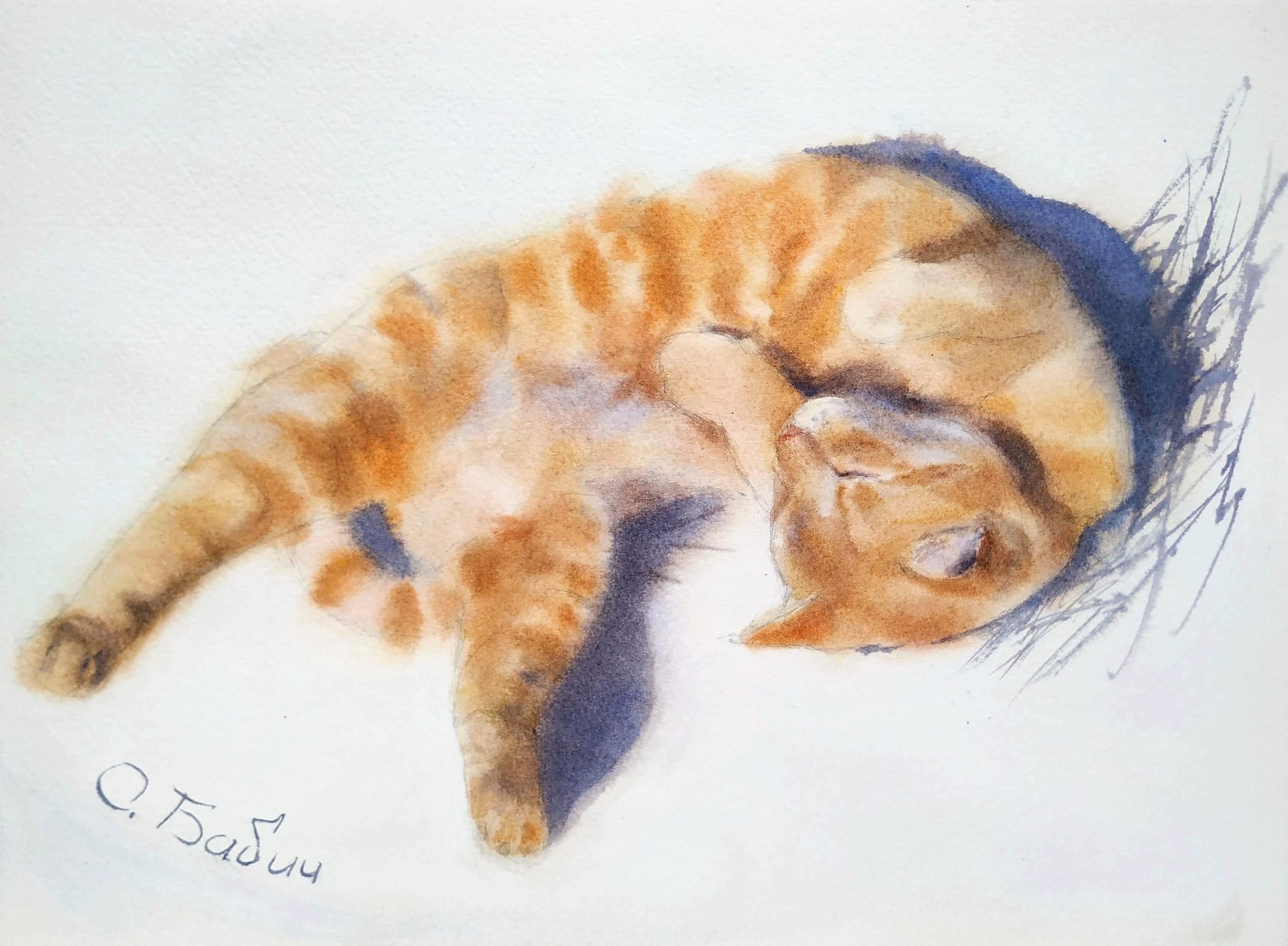 Rote Katze Aquarell Katze Aquarell Haustiere Tiere | Etsy