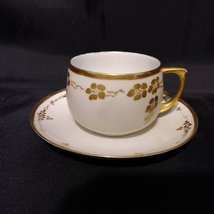 Tirschenreuth Bavaria Chocolate Cup and Saucer