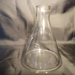 Ehrlenmeyer Flask Scientific Vase