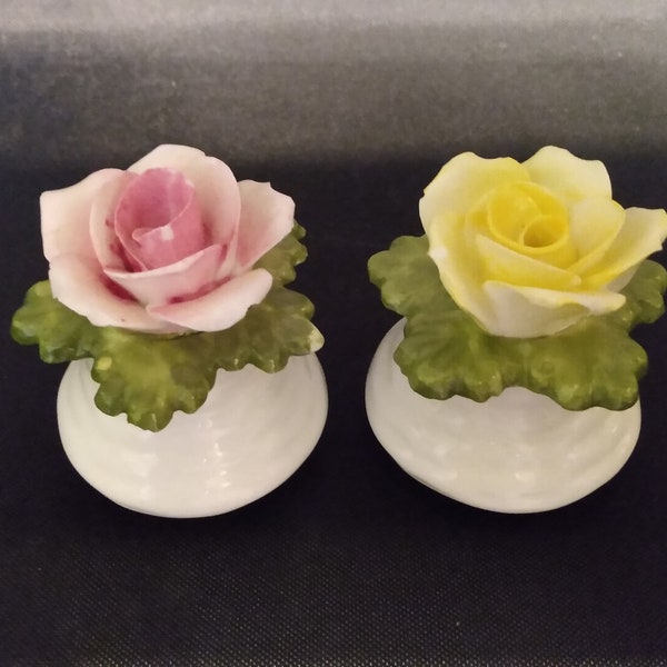 Aynesley Bone China Roses Salt and Pepper Set in Yellow and Pink