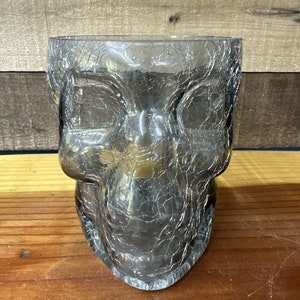 Pode incluir: Um vaso de vidro transparente em forma de caveira com acabamento rachado. O vaso é uma peça decorativa para a casa.