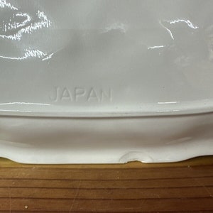 Wild Turkey Cermaic Thanksgiving Platter -flaw image 7