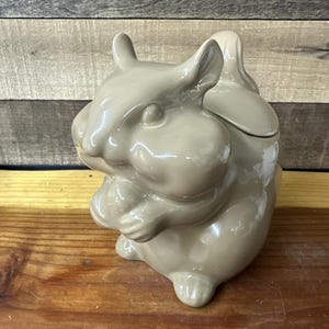 Op de afbeelding: Een lichtbeige keramische container in de vorm van een konijn. Het konijn zit met zijn poten bij elkaar en het deksel ligt op zijn hoofd. De container heeft een glanzende afwerking en staat tegen een houten achtergrond.
