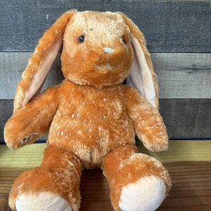 BUILD A BEAR Pumkin Pumpkin Sparkle Pawlett Bunny Rabbit